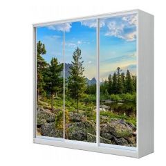 Шкаф-купе ХИТ 23-20/2-777 (620) в Ревде - revda.mebel24.online | фото