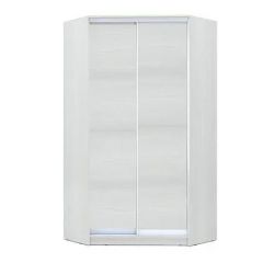 Шкаф-купе ХИТ-У-R-24-64-11 в Ревде - revda.mebel24.online | фото