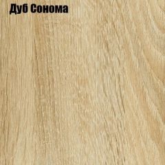 Шкаф-купе Лофт 1200 Шк12-60 (Дуб Сонома) в Ревде - revda.mebel24.online | фото 4