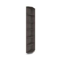 РОЛАНД Шкаф-купе зеркалом Анкор темный (600*1500) Р652 в Ревде - revda.mebel24.online | фото 5