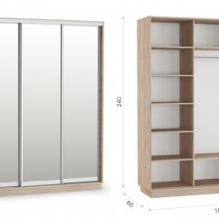 Шкаф-купе Тетрис 180/240 (ЗЗЗ) Дуб сонома в Ревде - revda.mebel24.online | фото