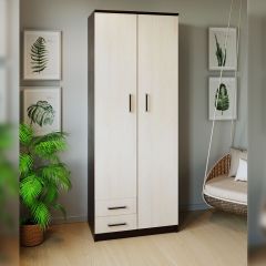 Шкаф распашной ПШ-3.9 в Ревде - revda.mebel24.online | фото 3