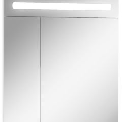 Шкаф-зеркало Аврора 65 с подсветкой LED Домино (DV8006HZ) в Ревде - revda.mebel24.online | фото