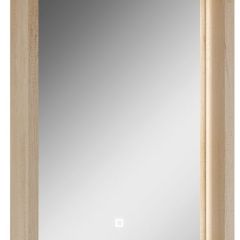 Шкаф-зеркало Nice 45 с подсветкой Домино (DN4704HZ) в Ревде - revda.mebel24.online | фото 1