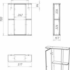 Шкаф-зеркало Норма 2-50 левый АЙСБЕРГ (DA1607HZ) в Ревде - revda.mebel24.online | фото 10