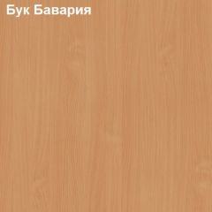 Стол компьютерный с нишей Логика Л-2.11 в Ревде - revda.mebel24.online | фото