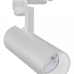Светильник на штанге Escada 20029 20029TRA/01LED SWH в Ревде - revda.mebel24.online | фото