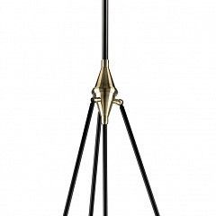Светильник на штанге Lightstar Modena 816047 в Ревде - revda.mebel24.online | фото