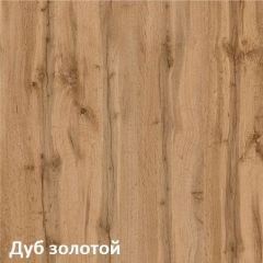 Вуди Шкаф для одежды 13.138 в Ревде - revda.mebel24.online | фото 4