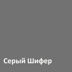 Юнона Шкаф торцевой 13.221 в Ревде - revda.mebel24.online | фото 2