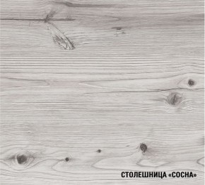 АСАЯ Кухонный гарнитур Экстра 2 (3000 мм) ПМ в Ревде - revda.mebel24.online | фото 8