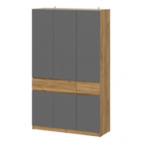 АВИНЬОН Шкаф 3-х створчатый с ящиками в Ревде - revda.mebel24.online | фото