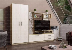 ДАРЬЯ Гостиная (Крафт серый/Крафт белый) в Ревде - revda.mebel24.online | фото