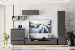ДЕНВЕР Пенал (Графит серый) в Ревде - revda.mebel24.online | фото 4