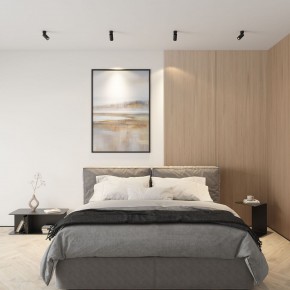 DK2029-BK Светильник накладной IP 20, 50 Вт, GU10, черный, алюминий в Ревде - revda.mebel24.online | фото 4