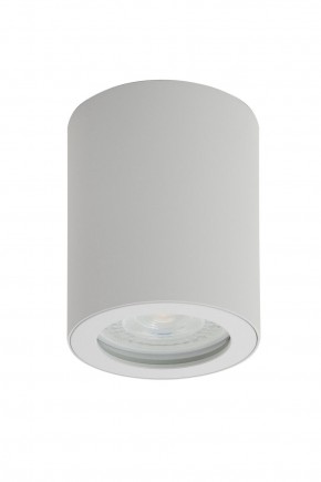 DK3007-WH Накладной светильник влагозащ., IP 44, 15 Вт, GU10, белый, алюминий в Ревде - revda.mebel24.online | фото 1