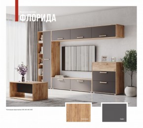 ФЛОРИДА Гостиная (модульная) дуб золотой/графит в Ревде - revda.mebel24.online | фото