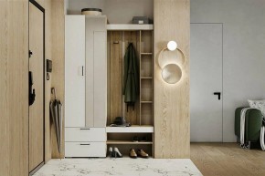 Гарнитур для прихожей Торонто в Ревде - revda.mebel24.online | фото 5
