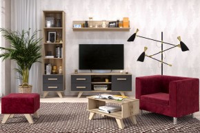 Гостиная Вега Скандинавия (комплект 5) в Ревде - revda.mebel24.online | фото 2