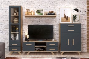 Гостиная Вега Скандинавия (комплект 7) в Ревде - revda.mebel24.online | фото 2
