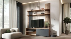КАРОЛИНА Гостиная (дуб вотан/графит) в Ревде - revda.mebel24.online | фото