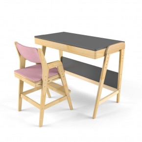 Комплект растущий стол и стул с чехлом 38 попугаев «Вуди» (Серый, Береза, Розовый) в Ревде - revda.mebel24.online | фото 1