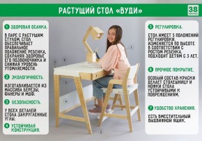 Комплект растущий стол и стул с чехлом 38 попугаев «Вуди» (Серый, Береза, Салют) в Ревде - revda.mebel24.online | фото
