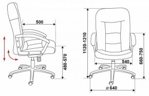 Кресло компьютерное Бюрократ T-9908AXSN-AB в Ревде - revda.mebel24.online | фото 6