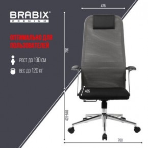 Кресло офисное BRABIX PREMIUM "Ultimate EX-801" хром, плотная двойная сетка Х2, черное/серое, 532918 в Ревде - revda.mebel24.online | фото 5