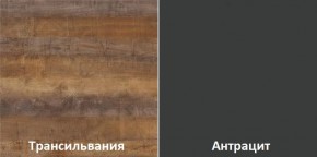 Кухонный гарнитур угловой Трансильвания 2400x1600 мм (Стол. 38 мм) в Ревде - revda.mebel24.online | фото 3