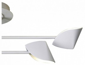 Люстра на штанге Mantra Capuccina 7574 в Ревде - revda.mebel24.online | фото 3