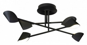Люстра на штанге Mantra Capuccina 7581 в Ревде - revda.mebel24.online | фото 1