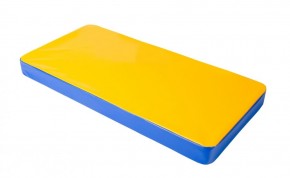 Мат гимнастический 1х0,5х0,08м цв. синий-желтый в Ревде - revda.mebel24.online | фото 1