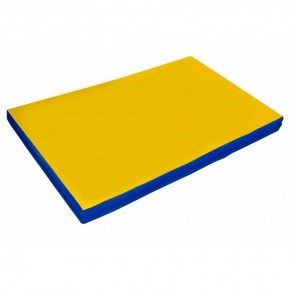 Мат гимнастический 2х1х0,05м цв. синий-желтый в Ревде - revda.mebel24.online | фото