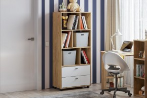 МИЛАН Детская (Дуб Золотой/Белый матовый) в Ревде - revda.mebel24.online | фото 53