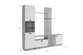 МОДИ Гостиная (модульная) белое дерево в Ревде - revda.mebel24.online | фото 2