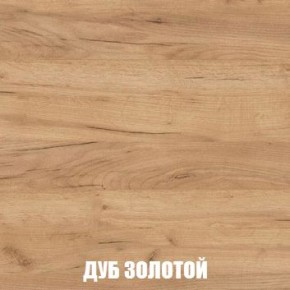 МСП-1 Шкаф 2-х створчатый (Дуб Золотой/Камень темный) в Ревде - revda.mebel24.online | фото 4