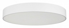 Накладной светильник Arlight TOR PILL 022132(4) в Ревде - revda.mebel24.online | фото