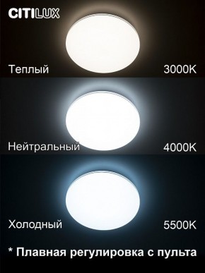 Накладной светильник Citilux Симпла CL714330G в Ревде - revda.mebel24.online | фото 4