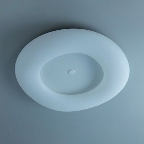 Накладной светильник Citilux Стратус Смарт CL732A800G в Ревде - revda.mebel24.online | фото 10