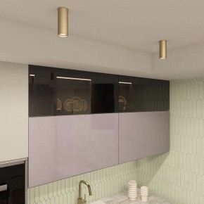 Накладной светильник Denkirs TUBE DK2051-SG в Ревде - revda.mebel24.online | фото 4