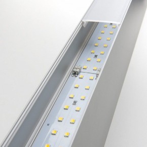 Накладной светильник Elektrostandard Grand a041480 в Ревде - revda.mebel24.online | фото 2