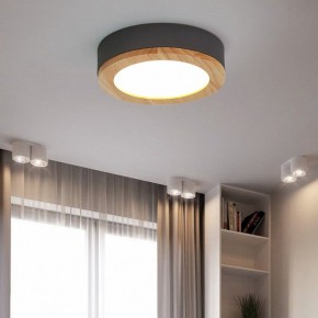 Накладной светильник Imperiumloft Wudda Серый WUDDA01 в Ревде - revda.mebel24.online | фото 4
