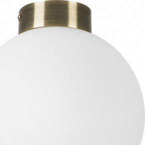 Накладной светильник Lightstar Globo 812021 в Ревде - revda.mebel24.online | фото 3