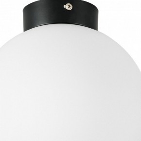 Накладной светильник Lightstar Globo 812027 в Ревде - revda.mebel24.online | фото 2