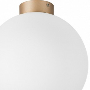 Накладной светильник Lightstar Globo 812033 в Ревде - revda.mebel24.online | фото 2