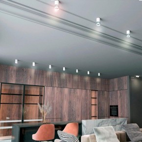 Накладной светильник Novotech Elina 370730 в Ревде - revda.mebel24.online | фото 3