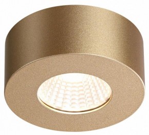 Накладной светильник Odeon Light Bene 4284/7CL в Ревде - revda.mebel24.online | фото 4