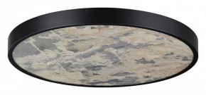 Накладной светильник Odeon Light Bergi 5064/50L в Ревде - revda.mebel24.online | фото 3