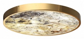 Накладной светильник Odeon Light Bergi 5079/50L в Ревде - revda.mebel24.online | фото 5